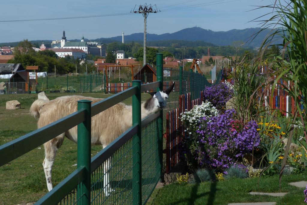 Farma Wenet Villa Broumov Exterior foto